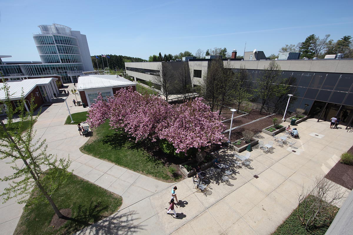Picture of the campus on a sunny day