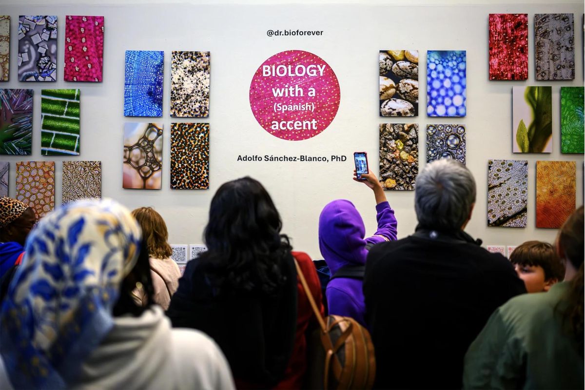 People gathering in front of artwork at a gallery