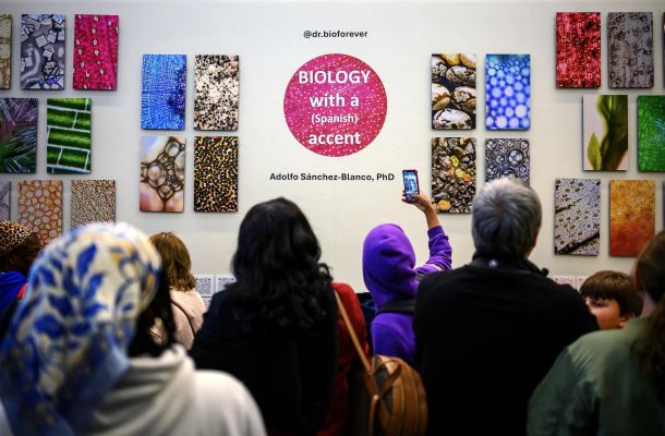 People gathering in front of artwork at a gallery