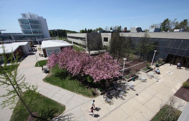 Picture of the campus on a sunny day